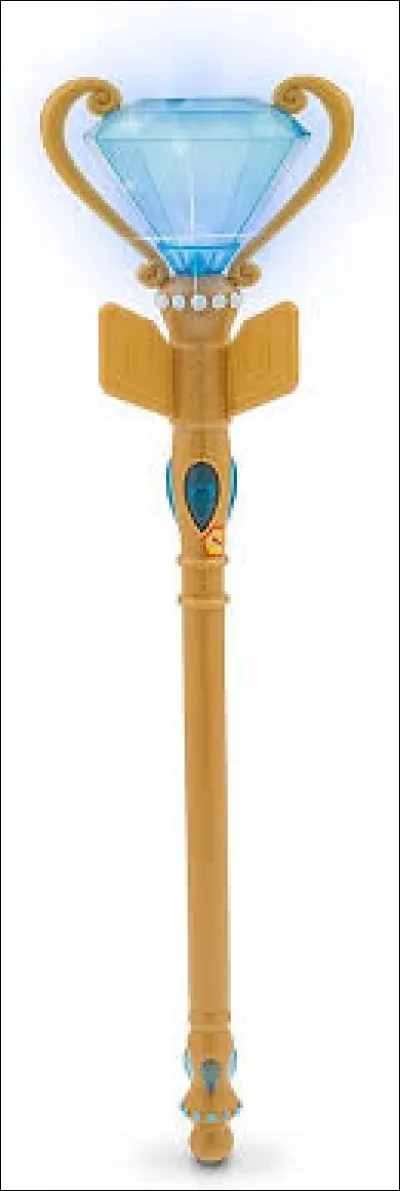 Comment s'appelle cet instrument ?