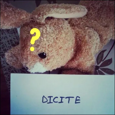 Ne serait-ce une bataille intestine ?