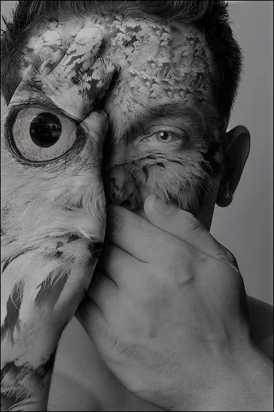 Ce Jardinier du royaume d'Hadès sera métamorphosé en chouette pour avoir balancé la pauvre Perséphone. Qui est-il ?