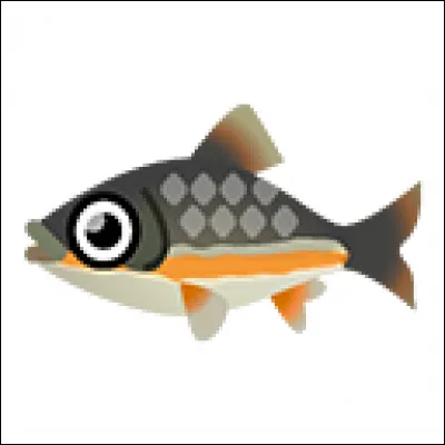 Où peut-on pêcher des vandoises ?