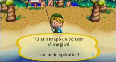 Où les gars nagent-ils ?