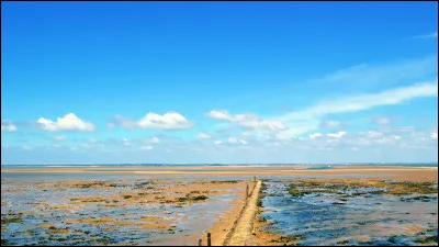 Qui chante "Mamy Blue" ?