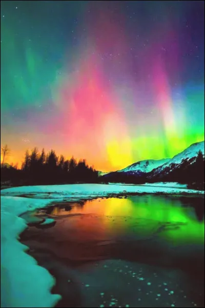 Combien de temps une bouteille en plastique met-elle pour se décomposer dans la nature ?