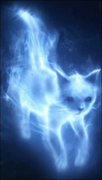 Qui peut produire ce patronus ? (chat)