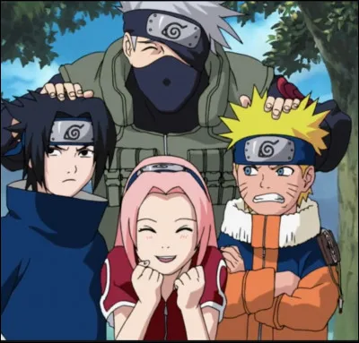 Quel est le numéro de cette team ?