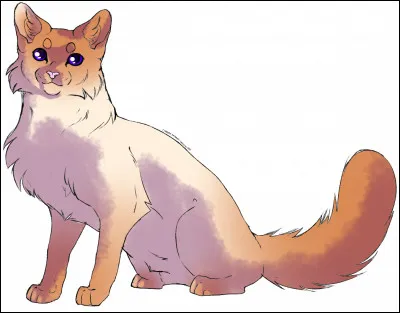 Quelle est votre couleur de pelage ?