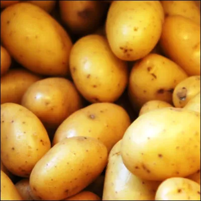 Quelle pr&eacute;paration &agrave; base de pommes de terre, originaire de l�Aubrac, est parfois appel&eacute; ruban de l�amiti&eacute; ?