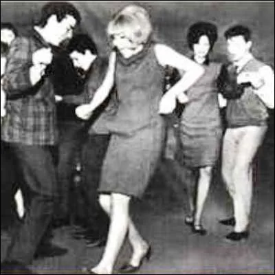 Quelle ic&ocirc;ne des ann&eacute;es y&eacute;-y&eacute; a sorti la chanson "Petite fille de Fran&ccedil;ais moyens" ?