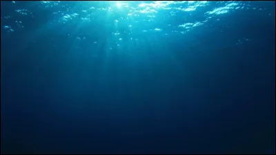 Tu préfèrerais être...