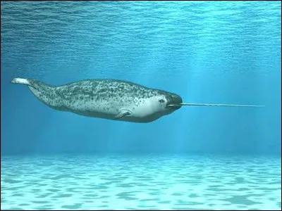 Dans quel album, le majordome de Moulinsart, Nestor, apparaît-il pour la première fois ?