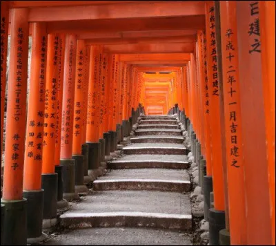 Mais comment peut-on obtenir - comme ci-dessus - une telle forêt de torii ?