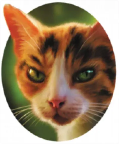 Dans quel tome la prophétie est révélée par il de Geai aux autres élus ?