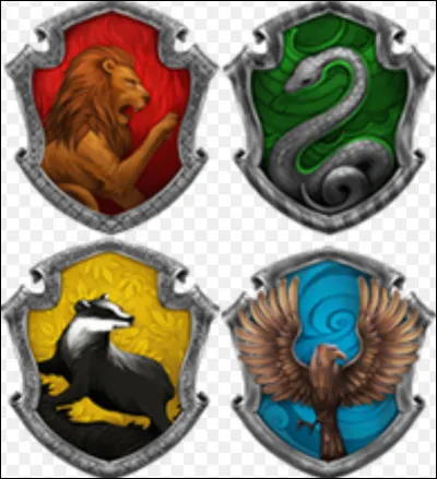 Quelle était sa maison à Poudlard ?