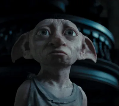 Comment sappelait lelfe de maison quelle a tué ?