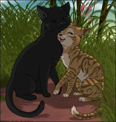 Qui est le compagnon de Feuille de Lune ?