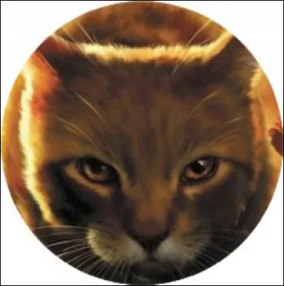 Qui sont Cur d'Aulne, Petite Baie, Pelage d'Étincelles et Petit Pissenlit ?