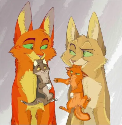 Quels sont les noms de chatons de Feuille de Lune et Poil d'Écureuil ?