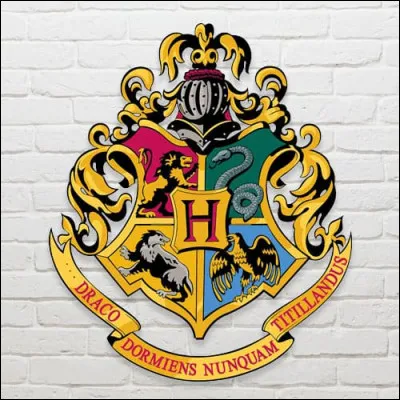 Quelle est ta maison à Poudlard ?