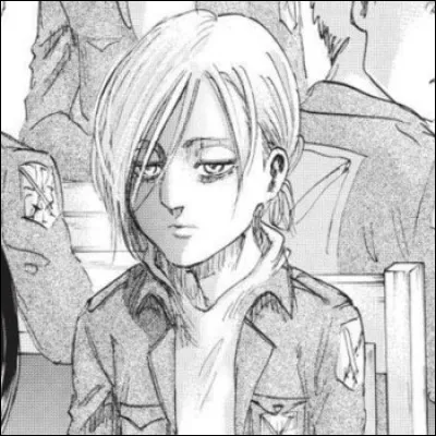 Que feras-tu dans SNK ?