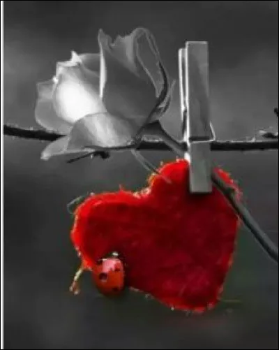 Dans un jeu de cartes, quel est le pr&eacute;nom de la dame de c�ur ?