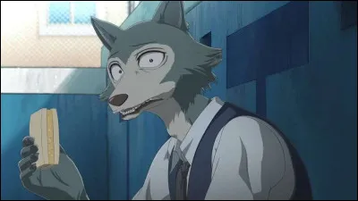 Dans la saison 2, pourquoi Legoshi a-t-il quitté l'école ?