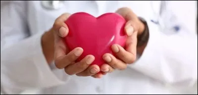 Durant quelle semaine de développement débute la formation du cur ?