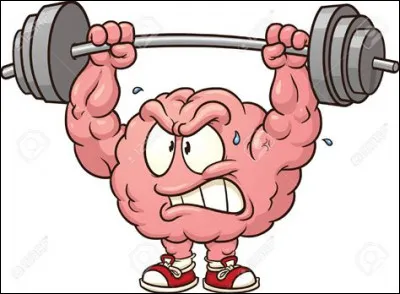 Le cerveau de l'homme est plus lourd que celui de la femme.