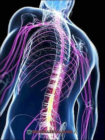 Comment s'appelle le liquide produit par les plexus choroïdes ?