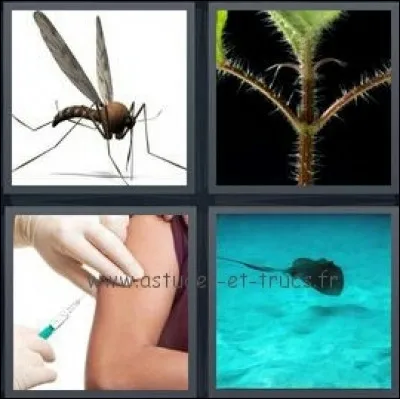 Voici un huitième mot à deviner.