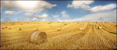 Qu'est-ce qu'un épouvantail ?