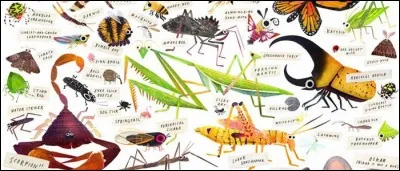 Lequel de ces animaux est un insecte ?