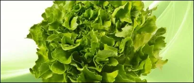 Laquelle n'est pas une salade ?