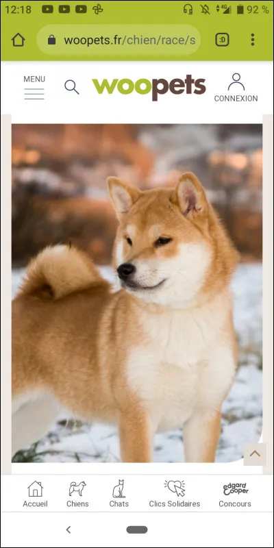 Quelle est cette race ?