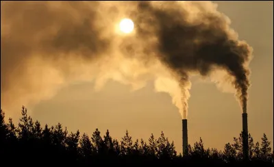 Minamata... et jusqu'à nos jours > Le film "The Cove" (2010) fait témoigner des chercheurs japonais sur la stupéfiante teneur en mercure de "baleine", en réalité [...], pêchée et consommée à 500 km de là.