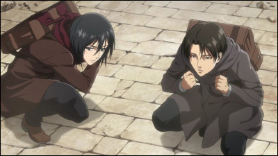 Quel point commun entre Mikasa et Livai peut-on relever ?