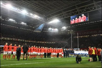 L'Arms Park, remplacé depuis 1999 par le Millennium Stadium, est le stade de l'équipe nationale de rugby qui a remporté à 27 reprises le tournoi des six nations :