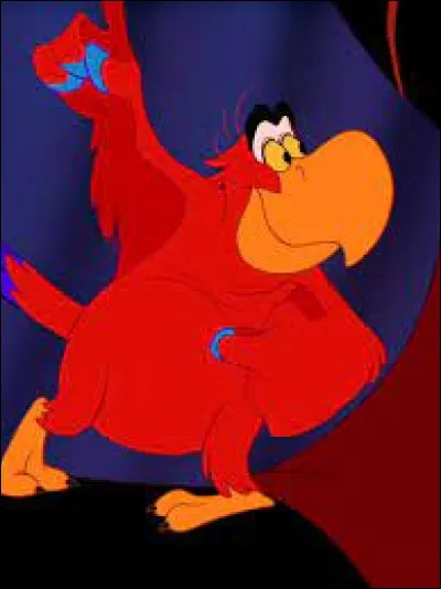 Quelle est la race d'oiseau correspondant à Iago dans le film Disney "Aladdin" ?