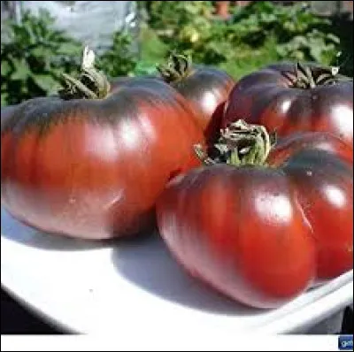 Comment se nomme cette variété de tomate ?
