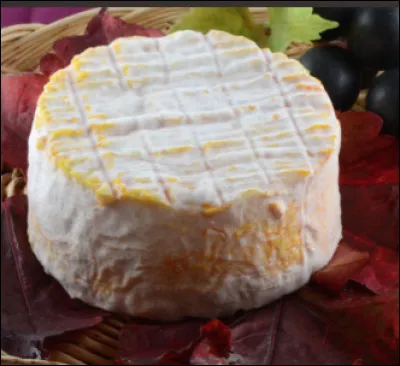 Quel est ce fromage &agrave; 60 % de mati&egrave;res grasses, double cr&egrave;me, r&eacute;alis&eacute; avec du lait cru de vache, fabriqu&eacute; en pays Briard ?