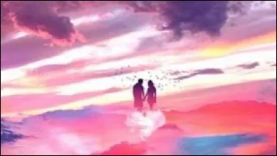 Quel genre de gar&ccedil;on voudrais-tu &eacute;pouser ?