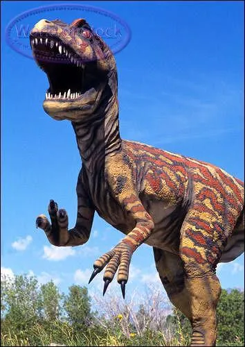 Comment se nomme ce dinosaure ?