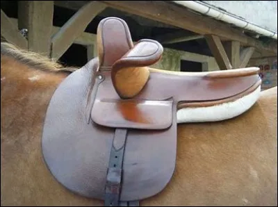 Qui utilisait les selles d'amazone ?