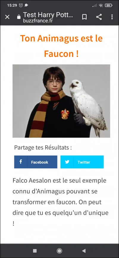 Que se dit Harry avant de retrouver Dumbledore dans le nuage en forme de King Cross ?