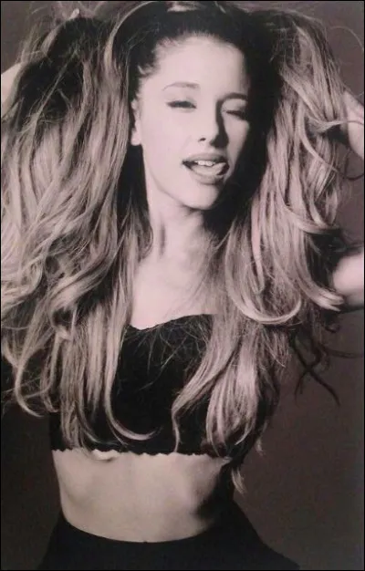 Quand a commencé l'enregistrement de l'album ?