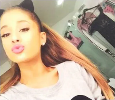 "Love Me Harder" est en duo avec :