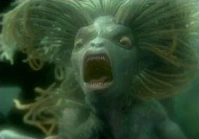 Quelle créature préfères-tu ?