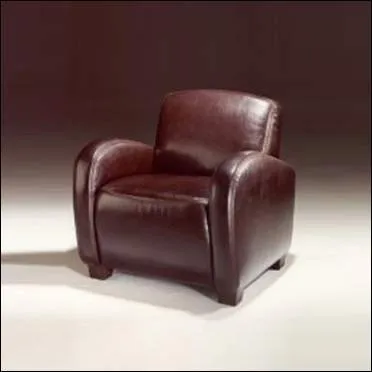 D'o le cuir provient-il ?