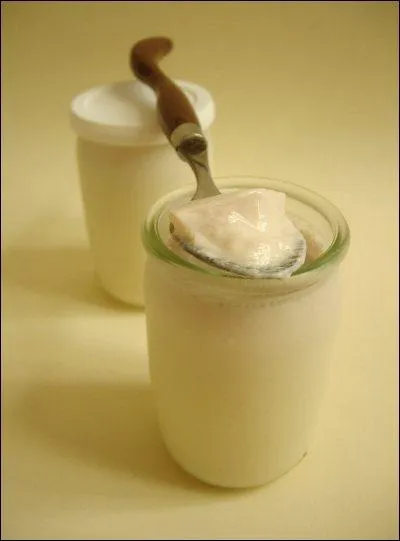 Avec quoi fait-on le yaourt ?