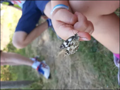 Son espèce nest pas très gaie !