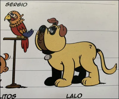 Comment s'appellent les animaux de la famille ?